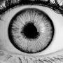 @libertineification