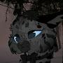 @user-wc3qo6xx7g