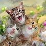 @SydieeKangadzi-x3c