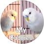 @mybudgies185