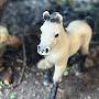 @schleichtoylover3006