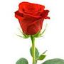@Mrhoang1971