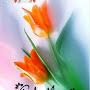 @RaviKiranMuthineni