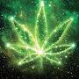 @CarlosWay420