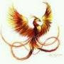 @mehmetsahiroglu3449