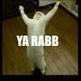 @MuhammedArshadd