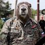 @боевойбобер-х5д