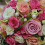 @samiyepirgontasc9449