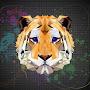 @TIGERTOUGE