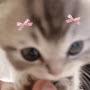 @ur.love_cat