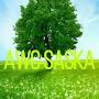 @awcsaska5988