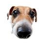 @dadogwitdabignose