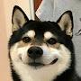 @Xerkies