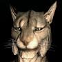 @Literally_Khajit