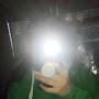 @sophia-hp6zx