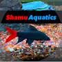 @ShamuAquatics