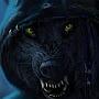 @BlackWolf-yu4md