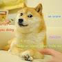 @dogedoge4330