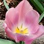 @kirkir6840