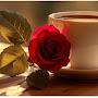 @HassanUsmanHukhassan66