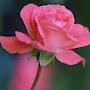 @loveall4969