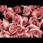 @whenspringcomes