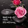 @박가브리엘라-h3g