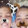 @marydepaiva1203