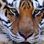 @ahmedhasaan8603