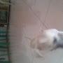 @talesvasconcelos2380