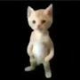 @erman019