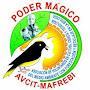 @PODERMÁGICOAVCIT-MAFREBI