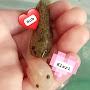 @AxolotlGames-1