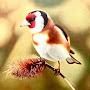 @richardcrocombe7340