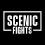 @ScenicFights