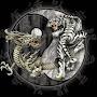 @Squall0014
