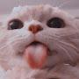 @Nya_Ooong