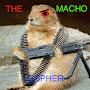 @MACHOGOPHER