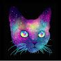 @Intergalactic-Cat
