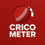 @cricometer-r2p