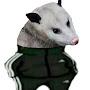 @Possum_Playz