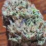 @DabbinDylanSistrunk710