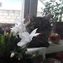 @ВованИванов-в3д