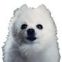@SirBork