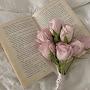@Ilovebooks222