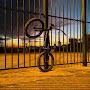 @BokBikes