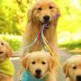 @nadeem6813