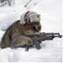 @iulian29-67