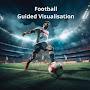 @FootballGuidedVisualisation