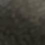 @That_randomkid2